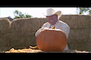 HALLOWEEN (PUMPKINS) (SPA)